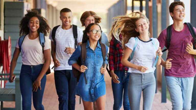 Diversidade na escola: descubra qual é a sua importância 