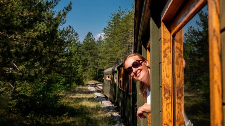 Viagem de trem: descubra roteiros e dicas imperdíveis